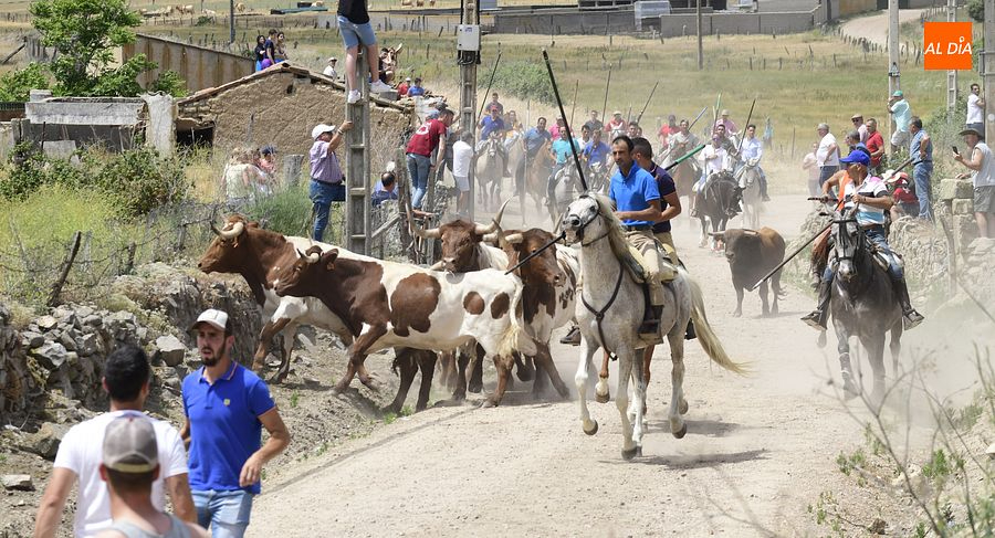 Dos intentos para sacar con éxito el encierro a caballo de Martín de Yeltes