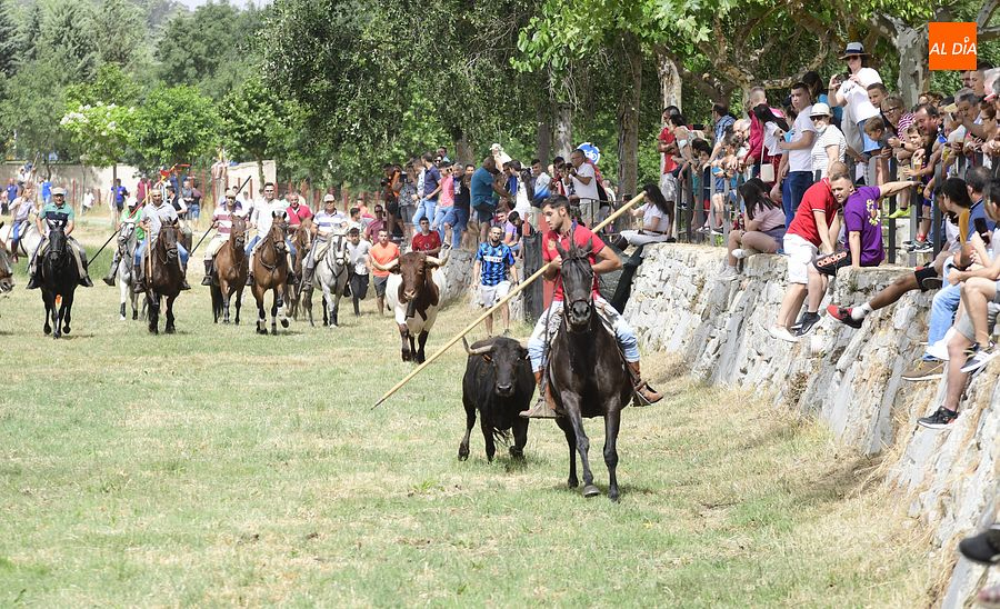 Largo y entretenido encierro a caballo en el Corpus de Sancti Spíritus