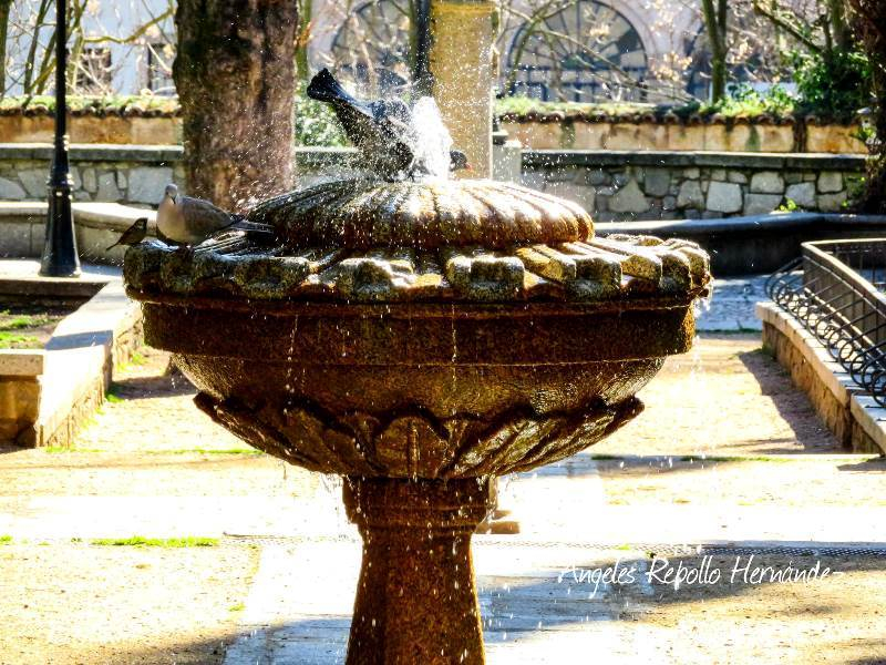 Cuando el frescor alivia