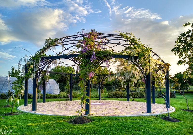 Jardín de las delicias