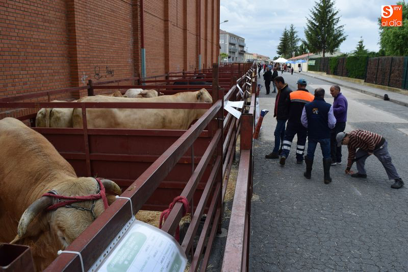 La Feria de San Antonio regresa con fuerza tres años después