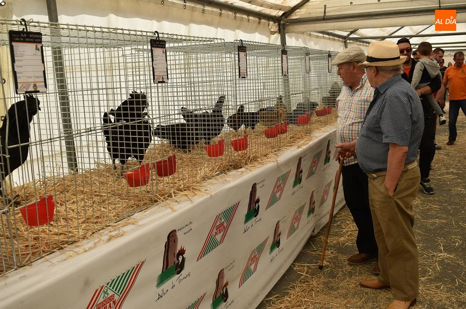 Vuelve la Feria Agroganadera y Alimentaria de Alba de Tormes el próximo 12 de junio