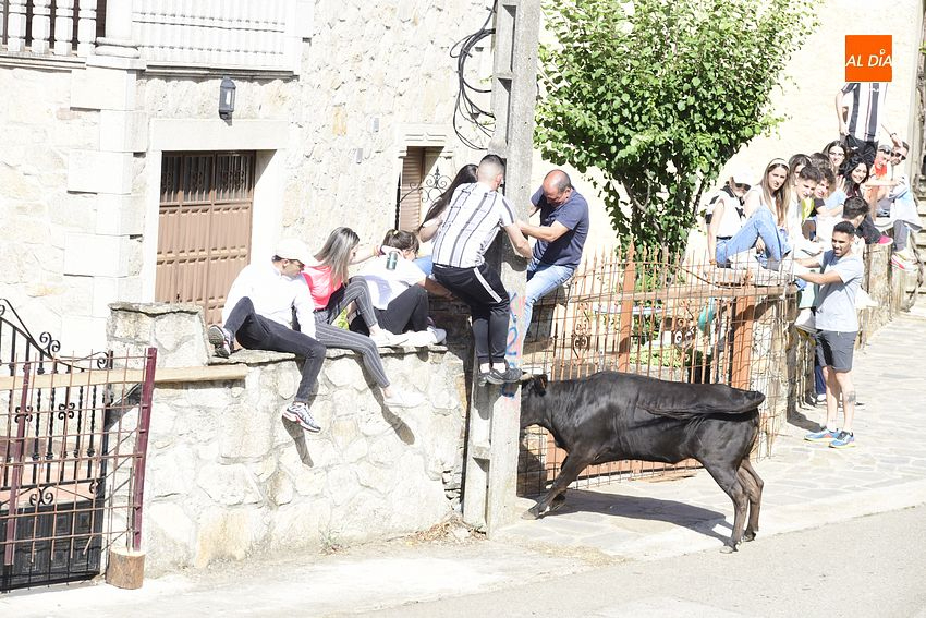 Vaquillas y alegría en las calles de Robleda 