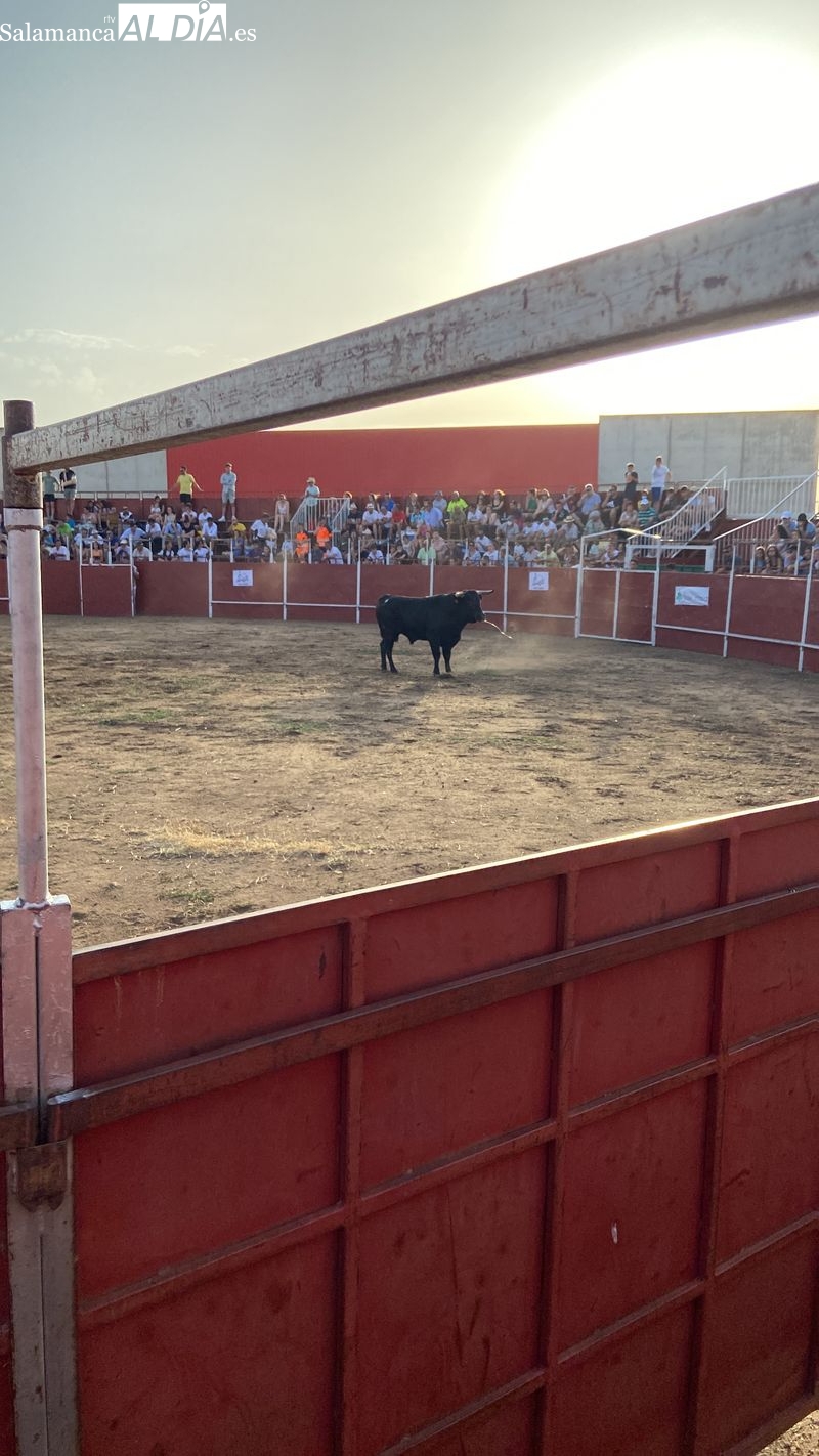 Villares de la Reina disfruta del concurso de recortes
