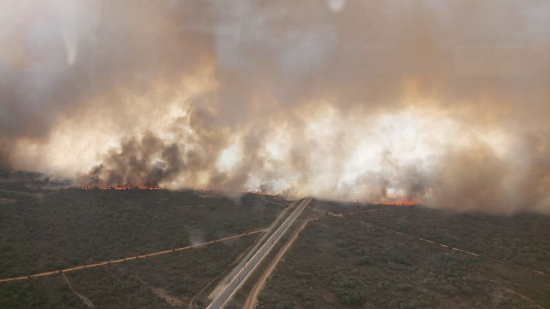 El avance del fuego en la Sierra de la Culebra obliga a cortar la línea del AVE Orense-Zamora y quema ya más de 25.000 hectáreas