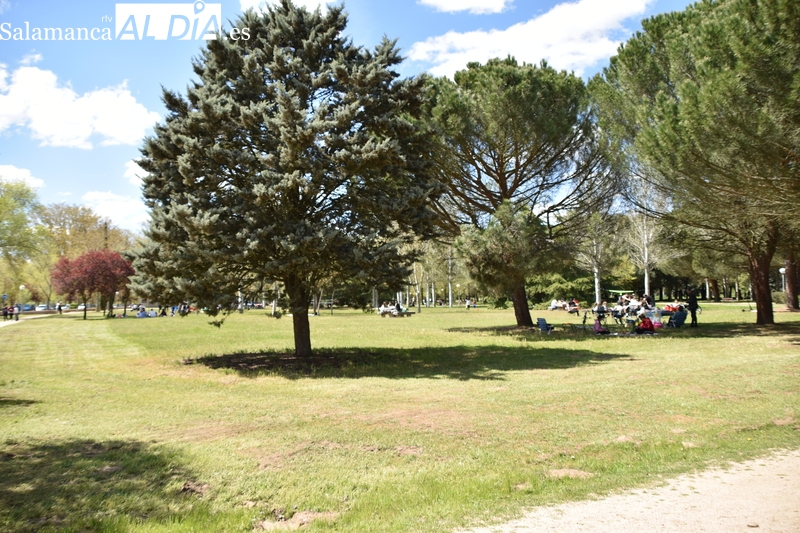 Nueve colegios participan en el II Certamen Escolar de Relatos del Rotary Club Salamanca Plaza Mayor