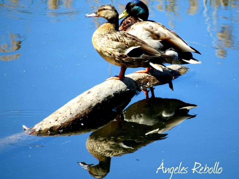 Momentos compartidos