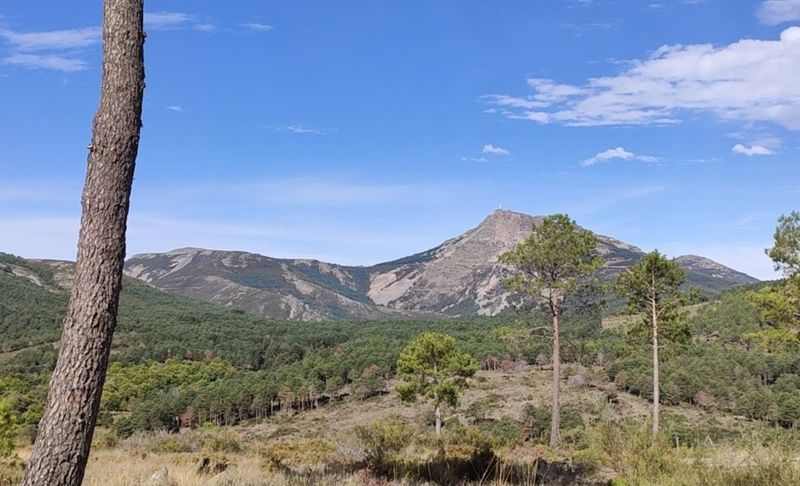 La Ruta del Bosque, senderismo en familia en La Alberca 