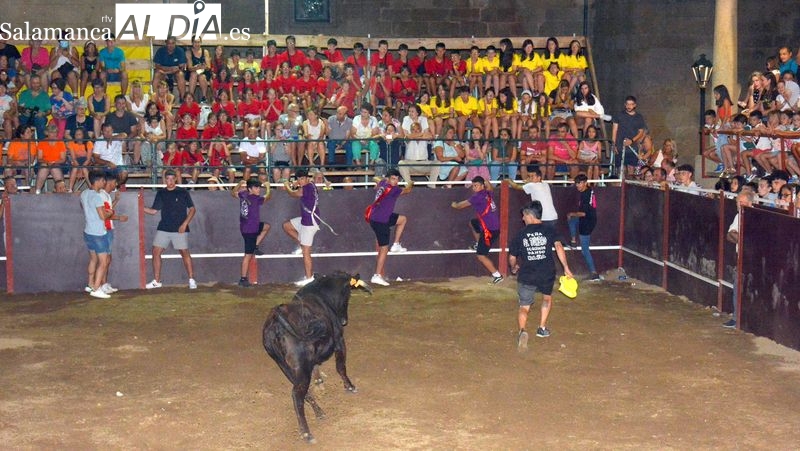 Gran animación en la capea nocturna de vaquillas de las fiestas de Sobradillo