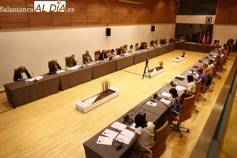 El Ayuntamiento de Salamanca impulsará la declaración del Cerro de San Vicente como bien de interés cultural