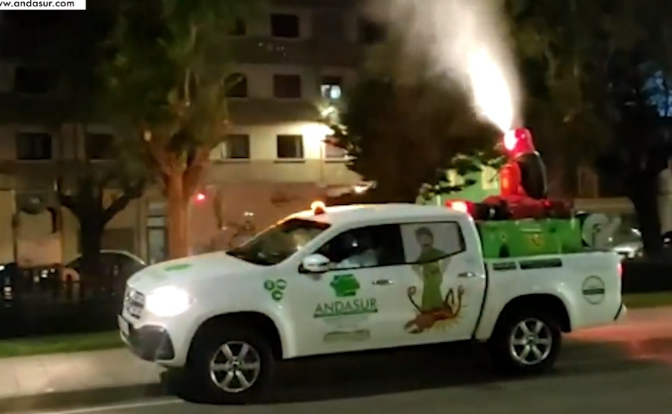 Realizado de madrugada un tratamiento contra la galeruca del olmo