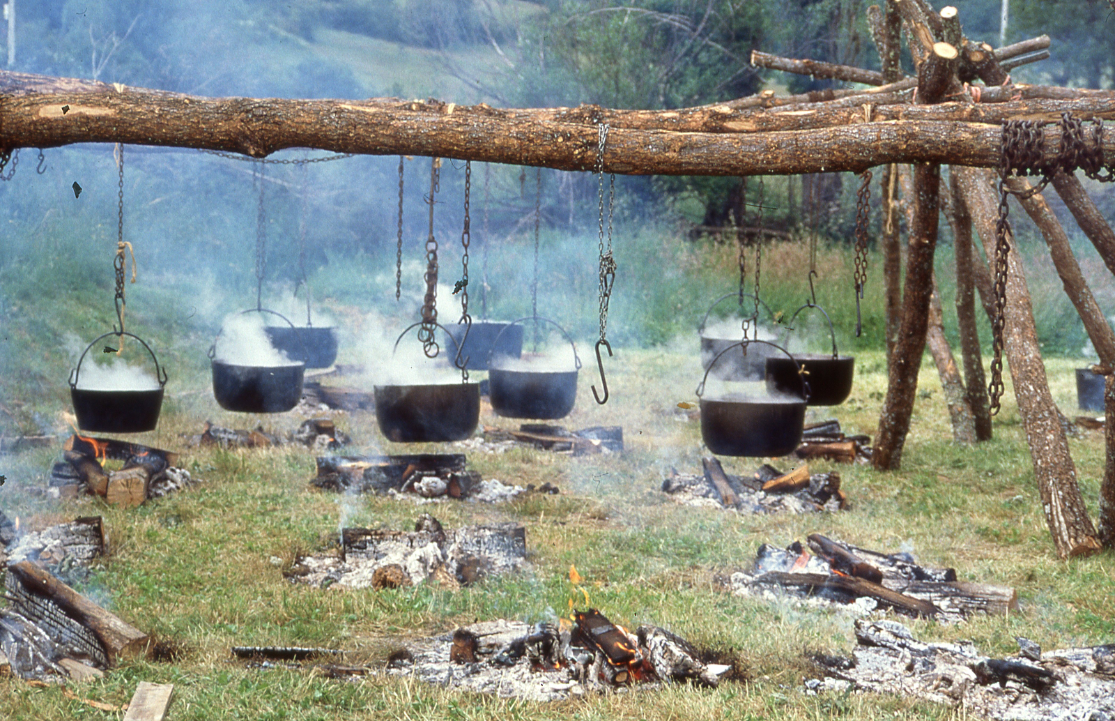 Ingredientes básicos en la alimentación pastoril 