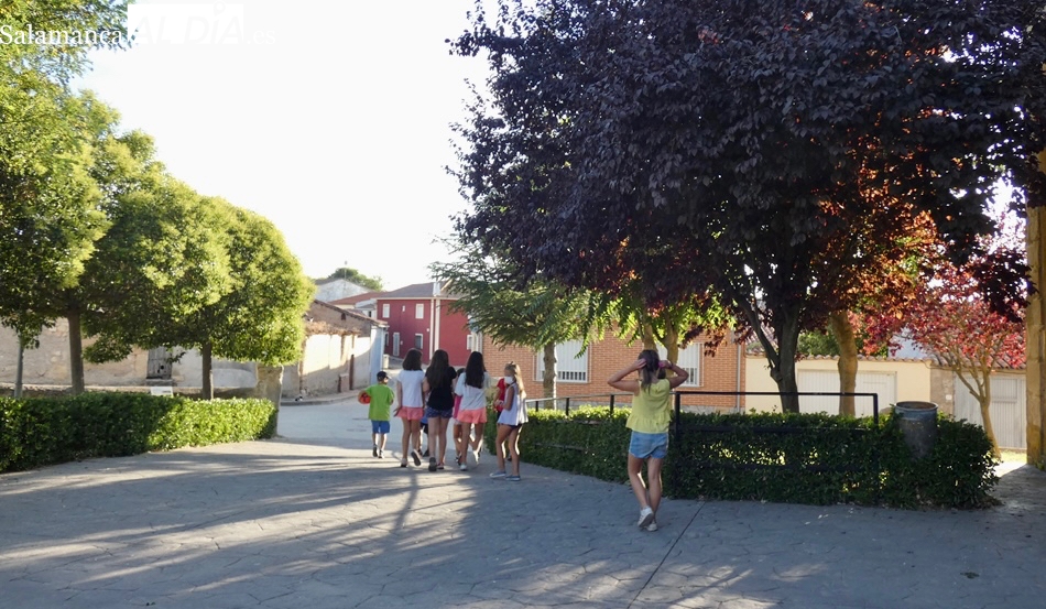 El histórico concurso de lanzamiento de huesos de aceituna del Pedroso de la Armuña podría sumar nueva década esta año 