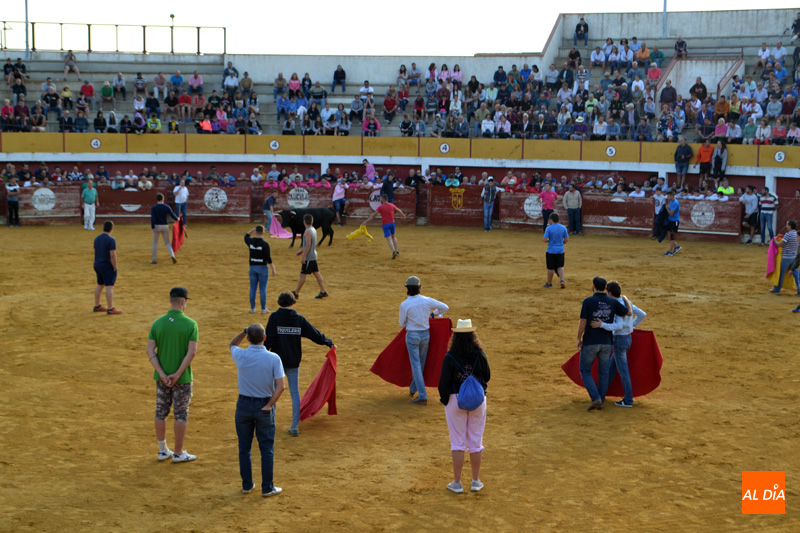 El 23 de julio se presentarán los festejos taurinos de San Roque que organiza el Ayuntamiento de Macotera 