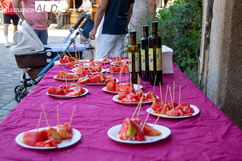 El tomate, protagonista en San Martín del Castañar
