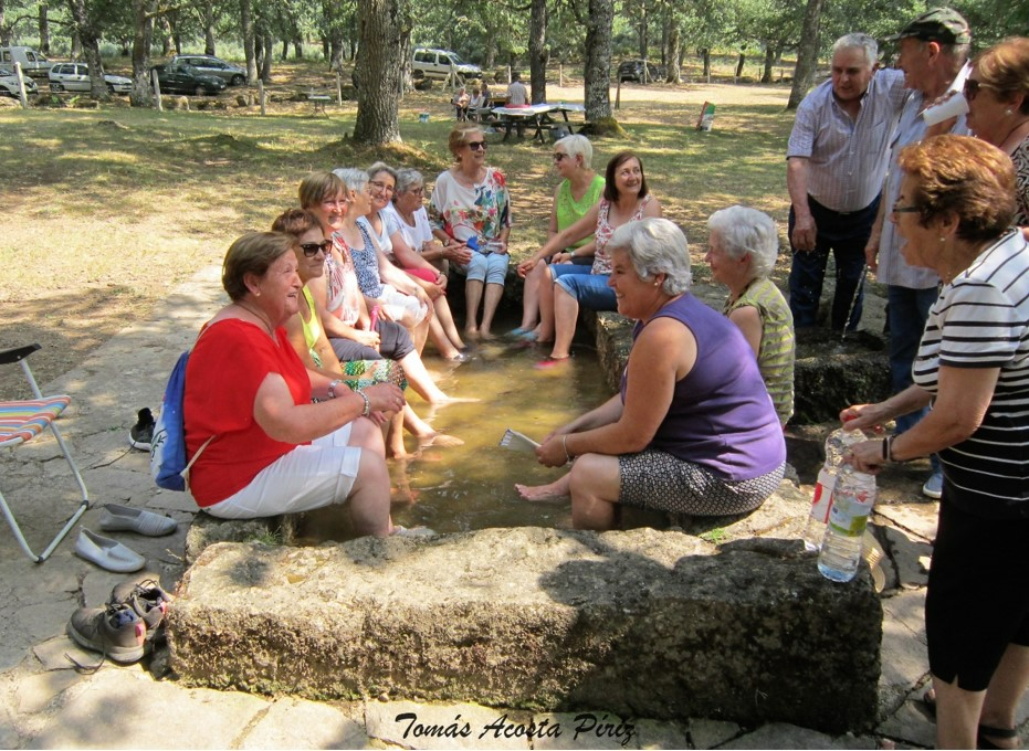 Más de 200 personas asisten a la convivencia de las asociaciones de mayores de El Rebollar