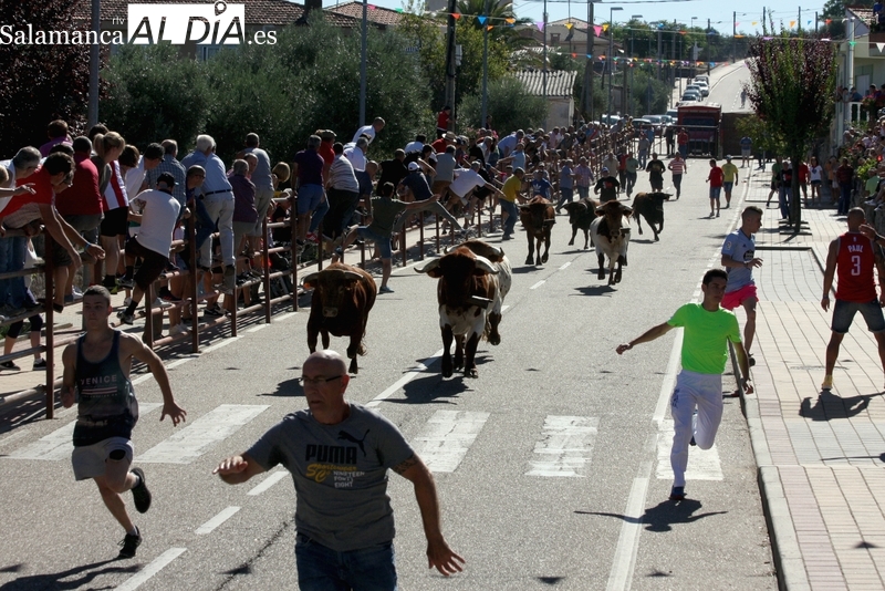 Villarino tendrá cuatro festejos taurinos en sus fiestas de San Roque