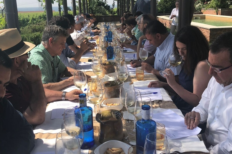 Casi una treintena de vinos de la DO Arribes logran más de 90 puntos en la Guía Peñín