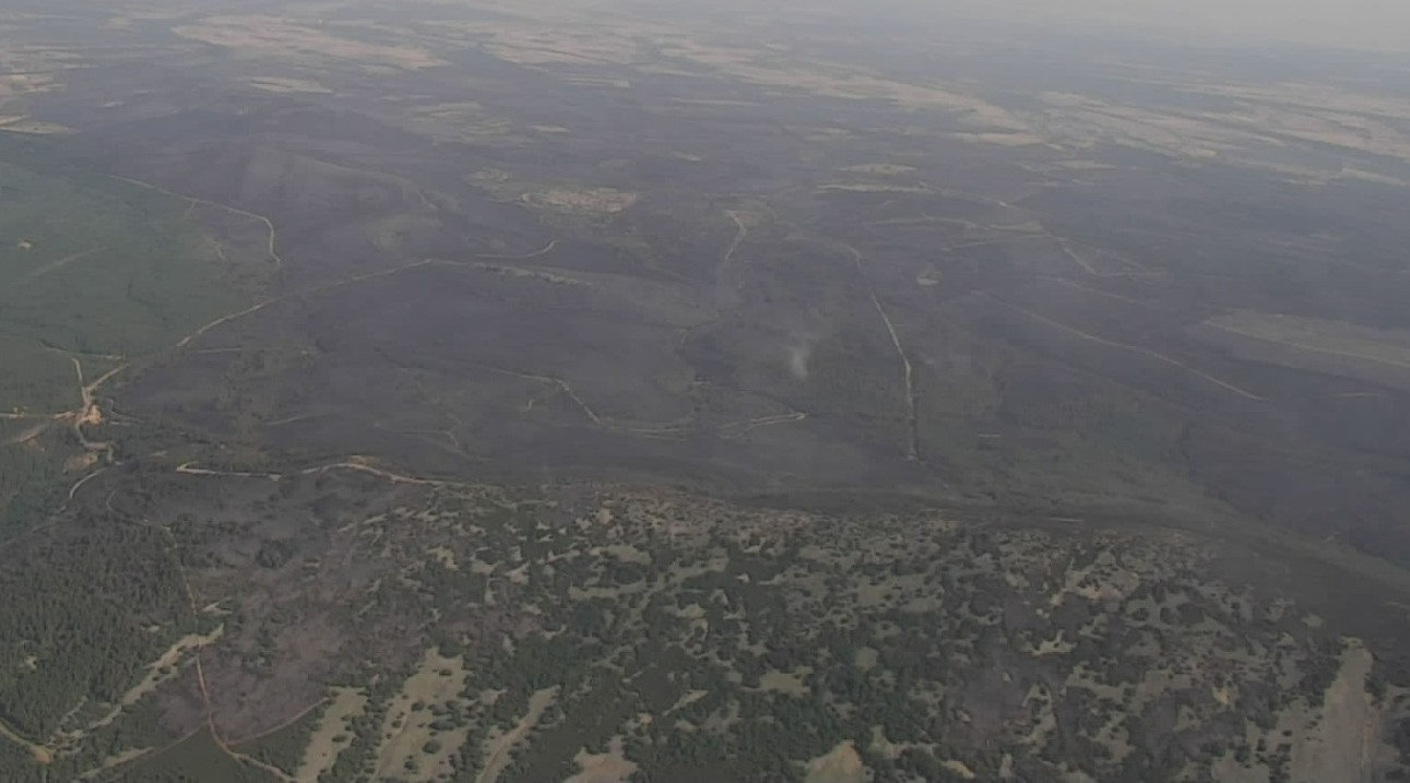 El viento impide durante unas horas los trabajos aéreos en una tarde de crecientes incendios en Nivel 2