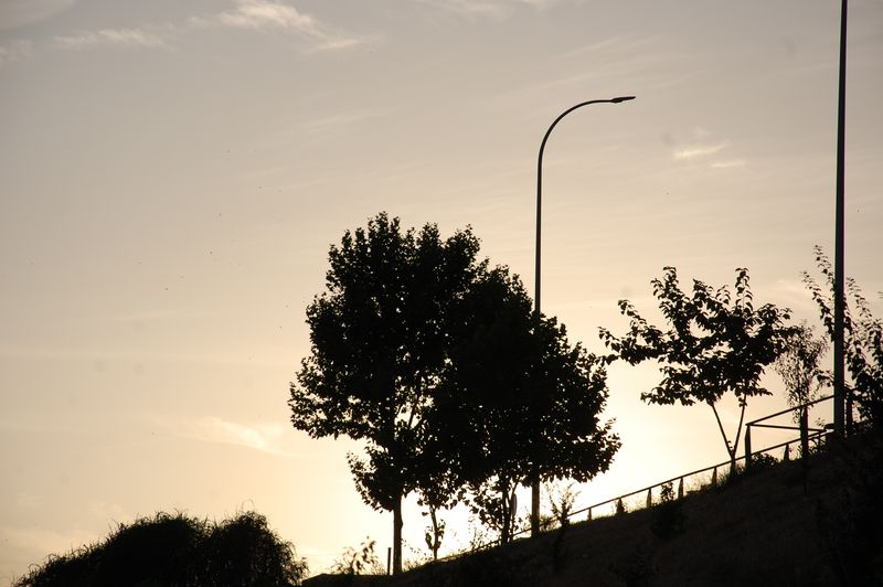 Los niños de las mochilas