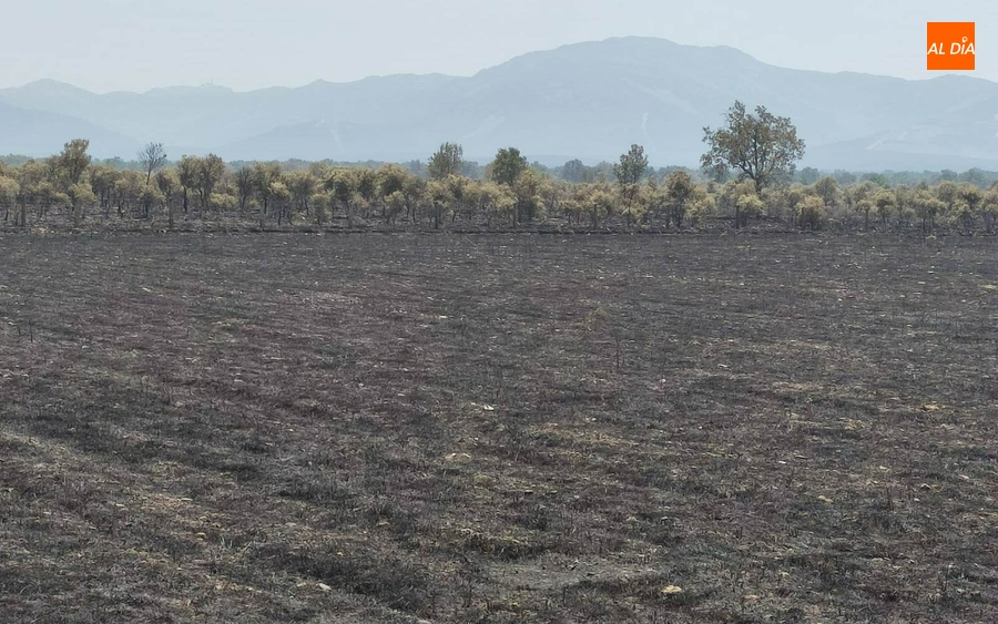 El incendio de Monsagro baja al Nivel 1 de alerta tras controlarse los últimos frentes activos