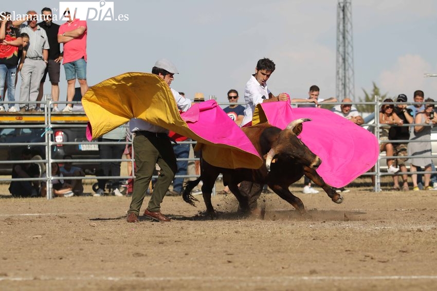 Entretenido festejo en Villar de Peralonso con tentadero de aficionados y recortes