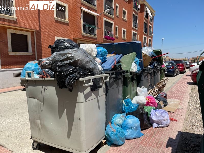 Los alcaldes de Alba y Terradillos señalan a la empresa de recogida de basura como culpable de la situación