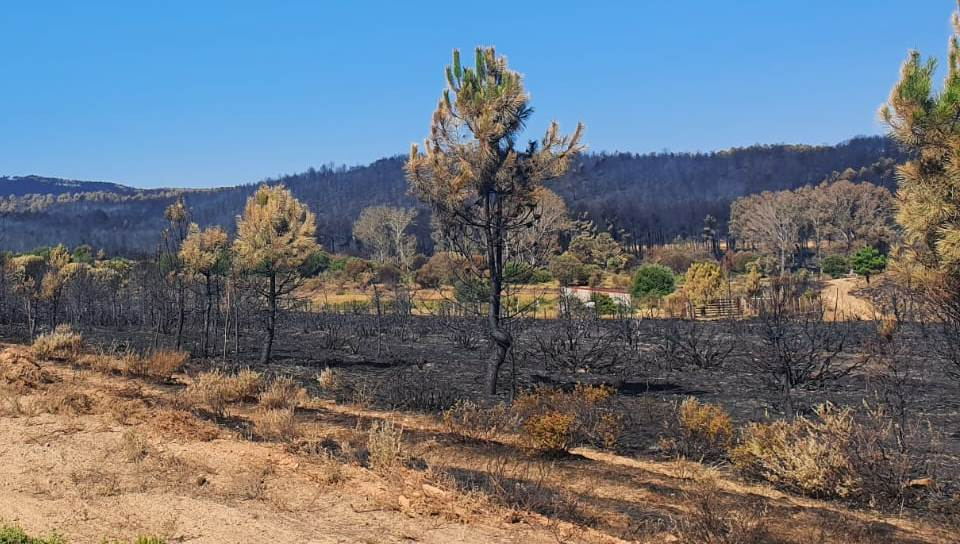 El incendio del sureste de la comarca mirobrigense baja al Nivel 0 de gravedad