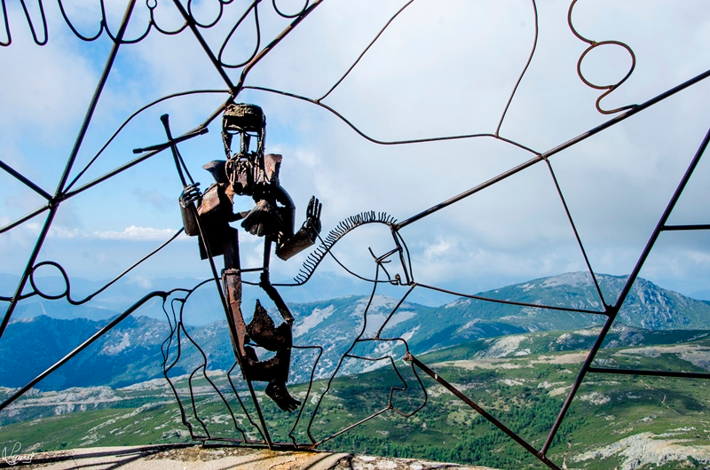 Peregrino incansable