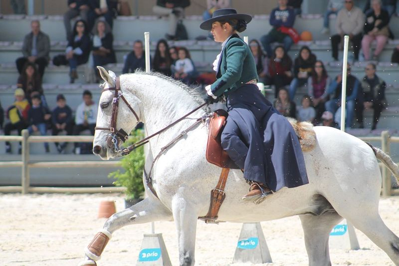 La Feria del Toro y del Caballo regresa con festival hípico, encierro y galas ecuestres