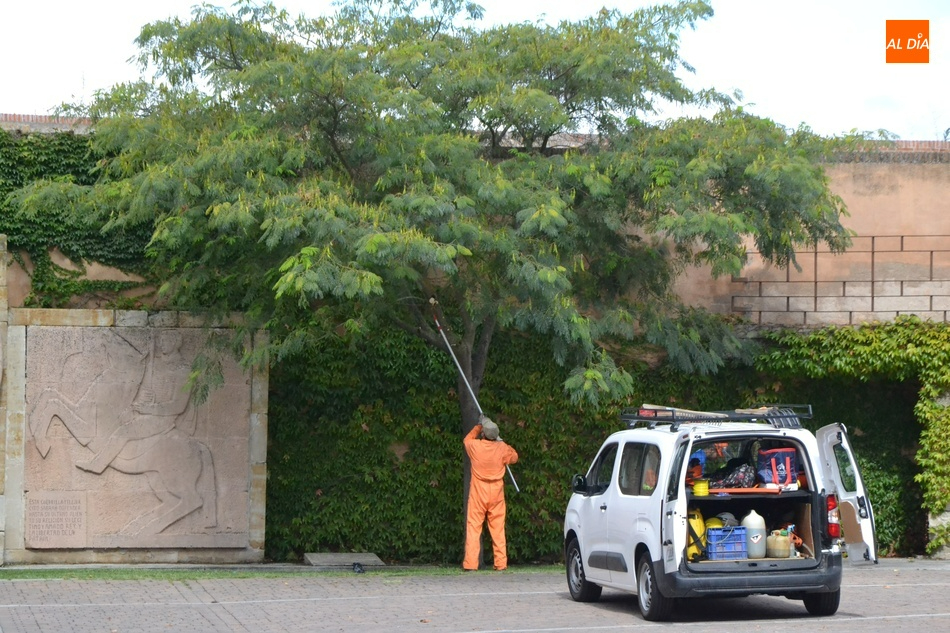 El Ayuntamiento recibe una subvención para contratar a tres desempleados con fines verdes