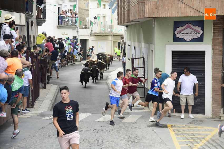 Seis toros de la ganadería de Carmen Valiente protagonizan un pulcro encierro en Moraleja