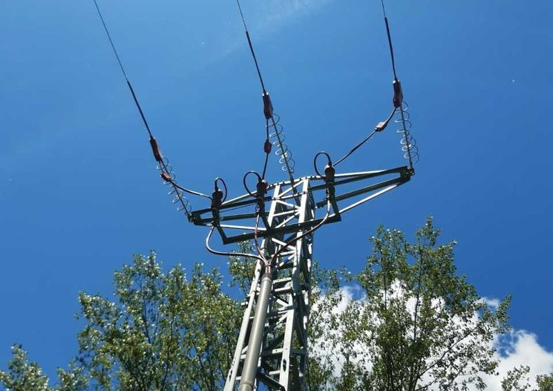 Inversión de 2 millones de euros para reducir la mortalidad por electrocución en aves en los tendidos eléctricos