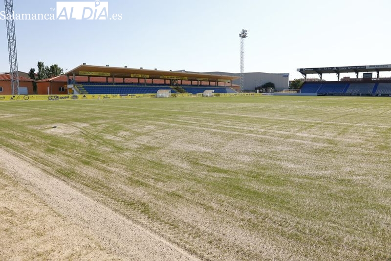 El color verde del nuevo césped natural ya se ve en el Reina Sofía