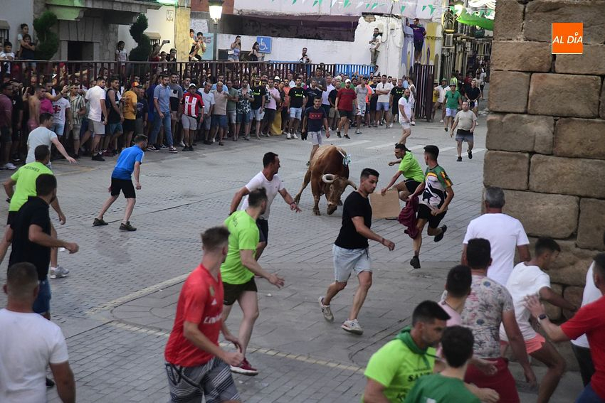 toro en Moraleja- fiestas san buenaventura moraleja
