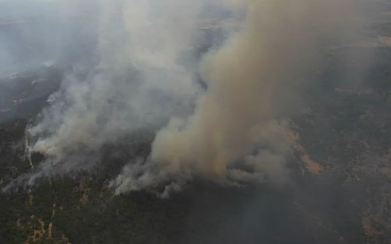 Las hectáreas quemadas en España ya superan las 200.000 en lo que va de año