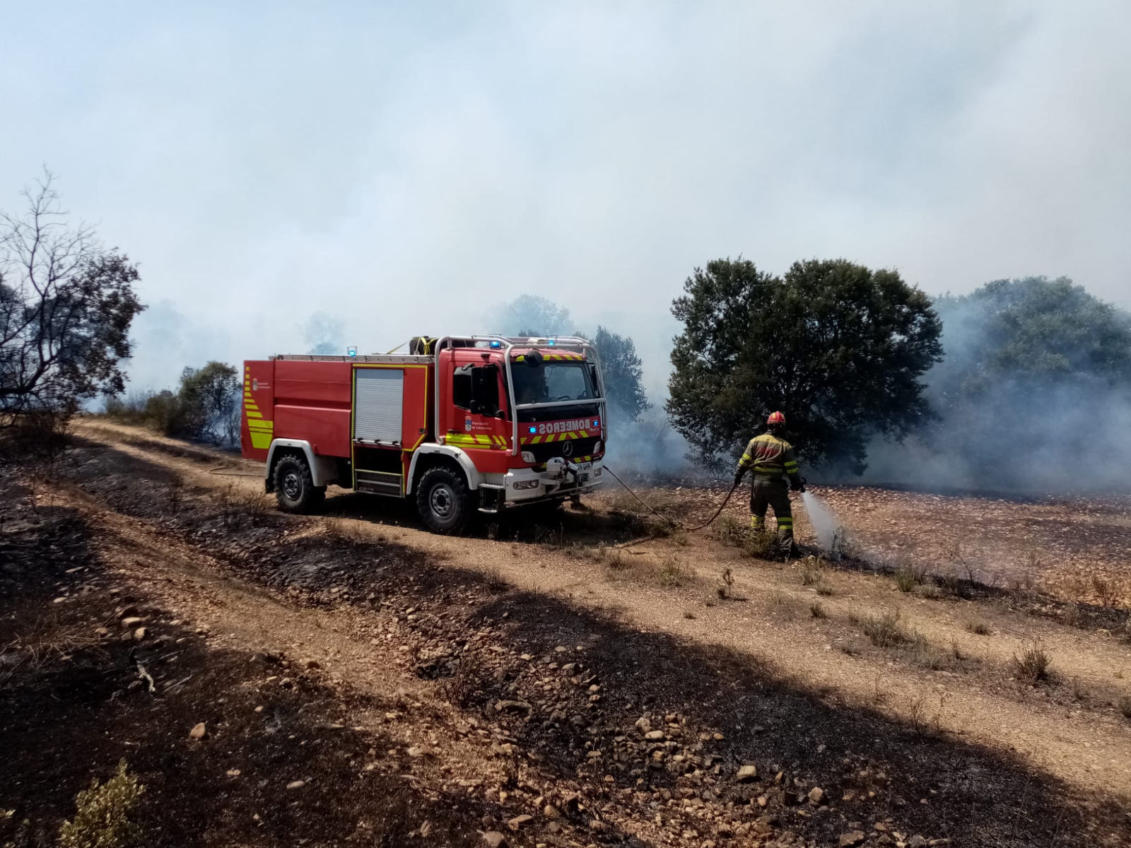 AEMET presenta un nuevo visor para predecir el riesgo de incendios forestales con siete días de antelación
