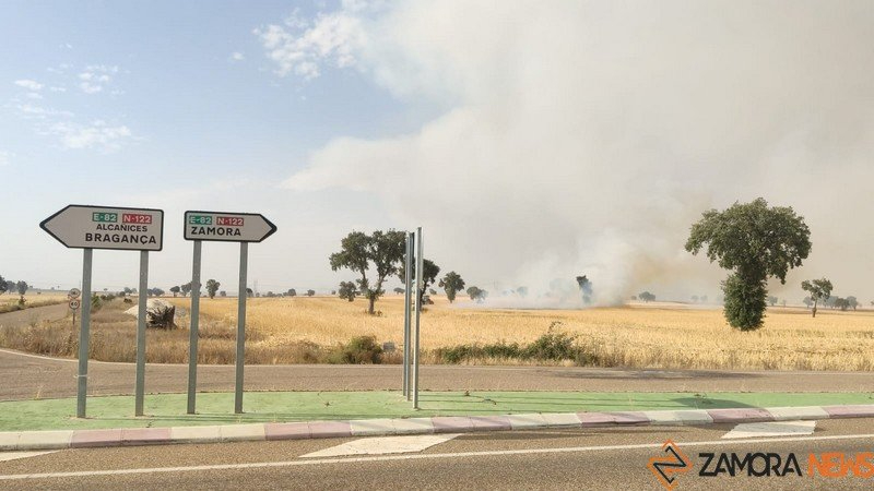 Cortada la N-122 por un incendio en Almaraz de Duero, que ya se salda con un herido