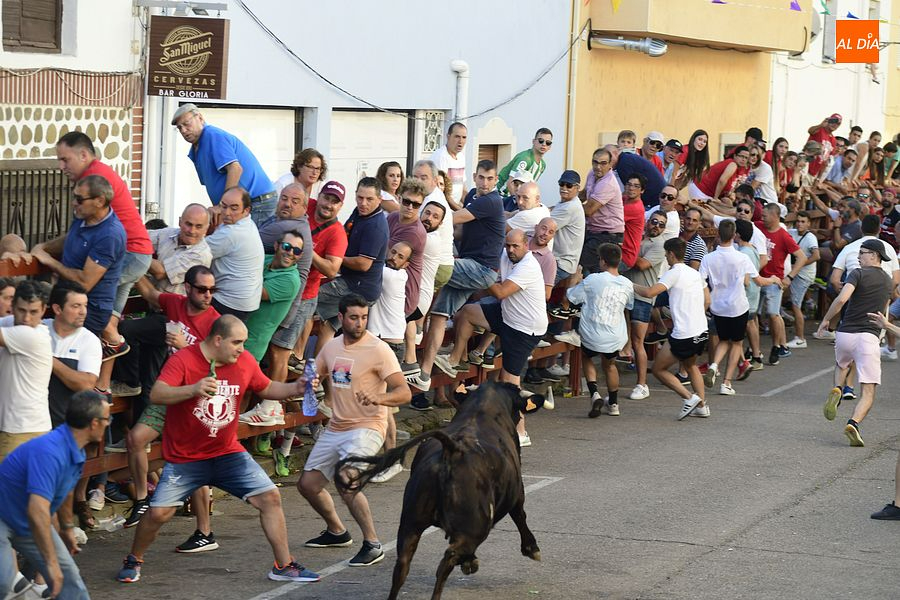 Los Amigos de la Vaca muestran su agradecimiento a todos los que han posibilitado su evento
