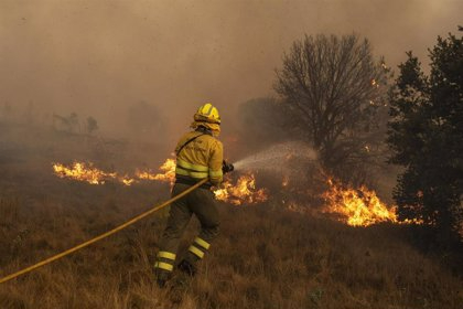  Prorrogada hasta el 5 de agosto la alerta de riesgo de incendios forestales por el calor