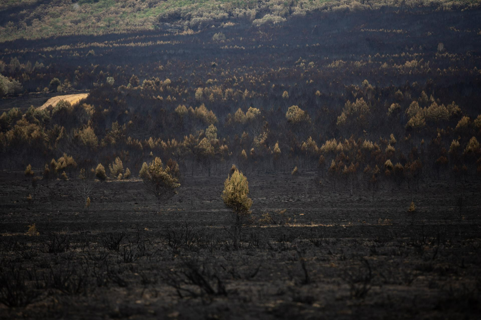 La Fiscalía abre diligencias contra Quiñones por el incendio de Sierra de la Culebra