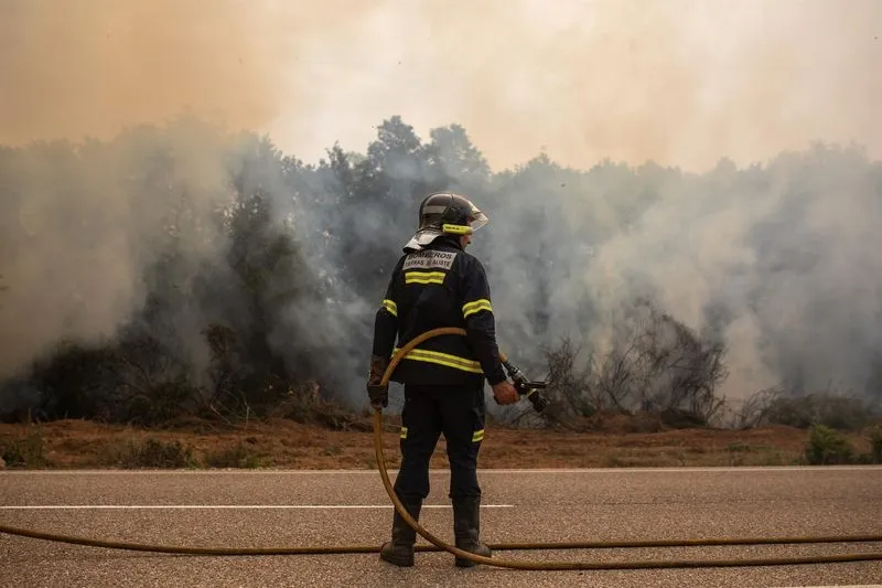 El fuego ya ha arrasado en España 69.859 hectáreas este año, el 35% de ellas en la Sierra de la Culebra