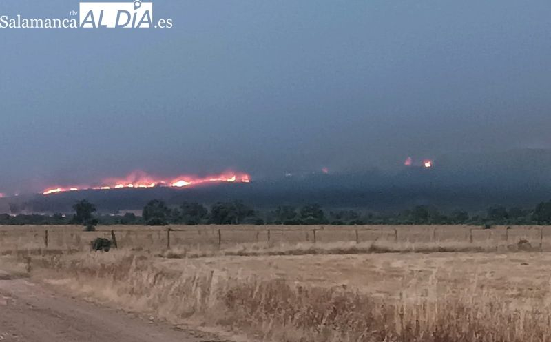 La Junta declara el riesgo de incendios forestales por altas temperaturas en toda la comunidad