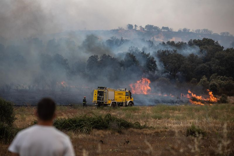 Rebaja su virulencia el incendio de Losacio (Zamora), pero preocupan varios focos