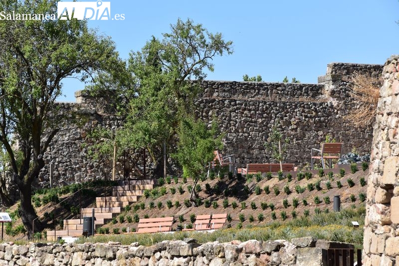Un recorrido por el nuevo parque en las laderas del Cerro de San Vicente