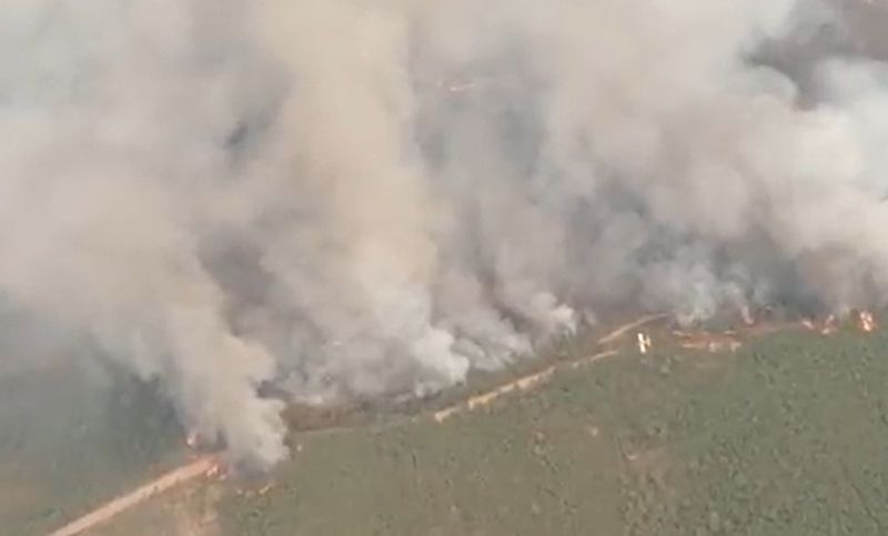 El vídeo de los medios aéreos en las labores de extinción del incendio de Monsagro 