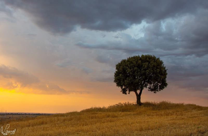  Pausas que alimentan el alma