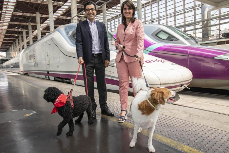 Prueba piloto para que los perros grandes puedan viajar en los trenes AVE y Larga Distancia 