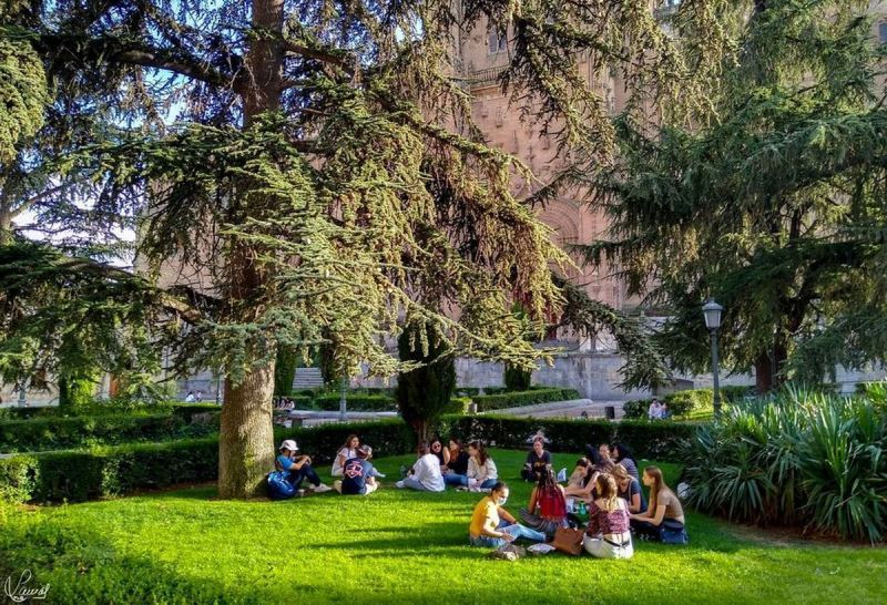 El gusto por compartir 