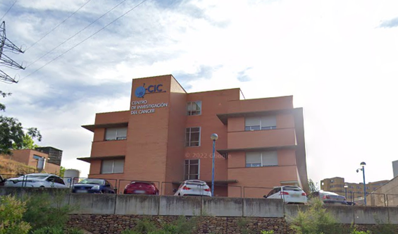 Investigadores del Centro de Investigación de Cáncer plantean un cambio para definir la prelucemia infantil